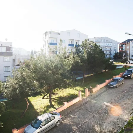 Begonvil * Canakkale